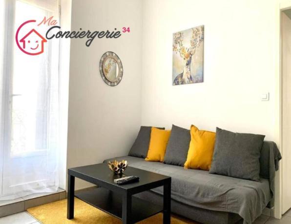 Appartement Confort Centre-Ville St Roch Montpellier Ngoại thất bức ảnh